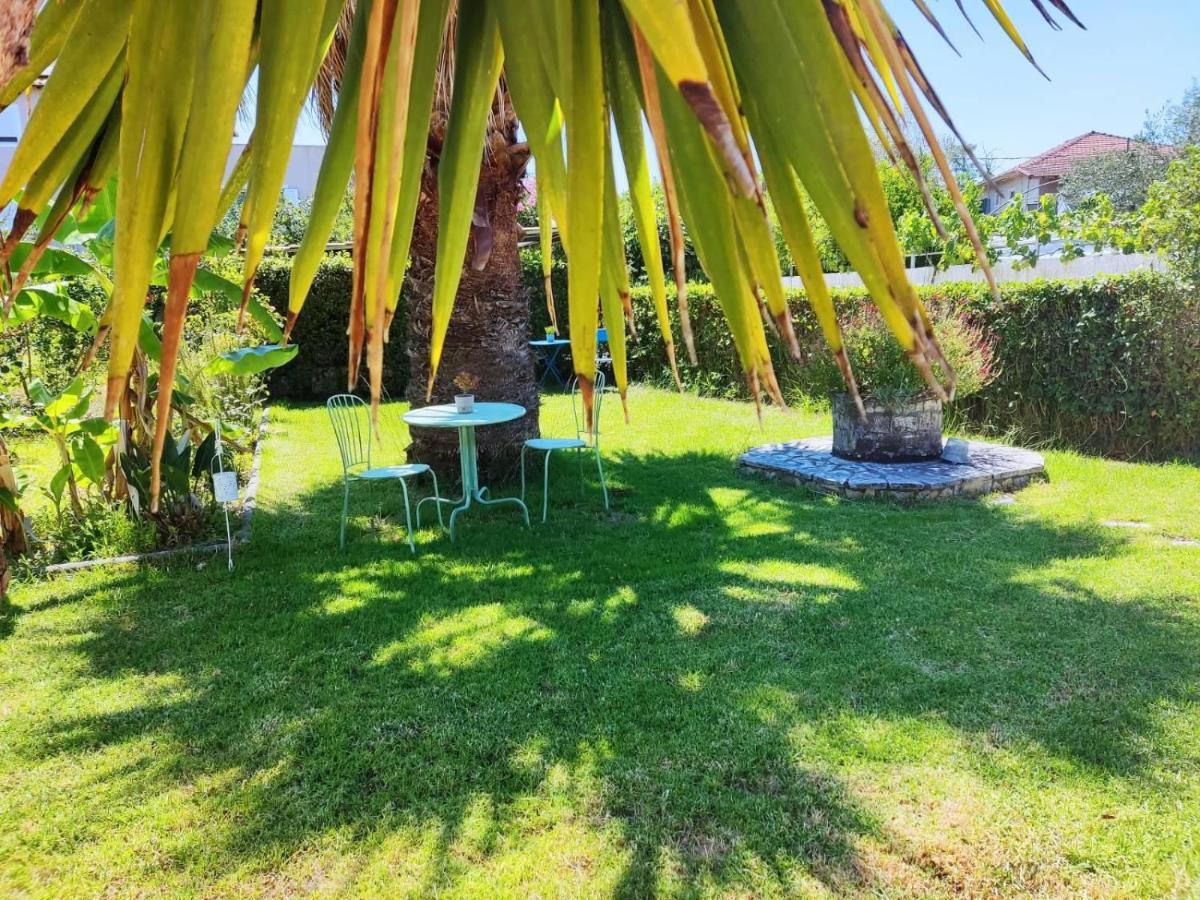 Morfi Apartment Kalligoni Bagian luar foto