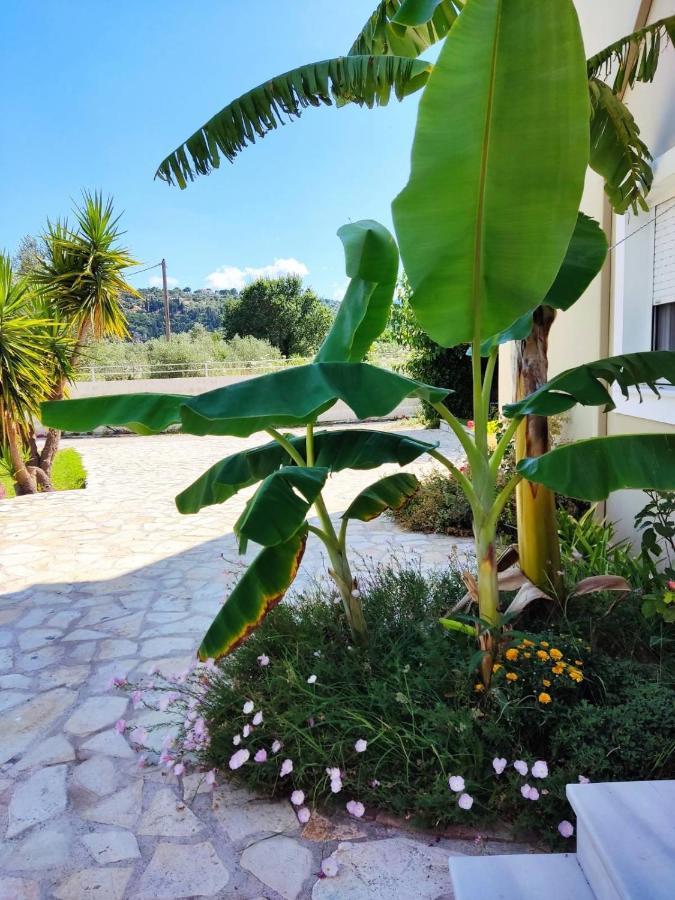 Morfi Apartment Kalligoni Bagian luar foto